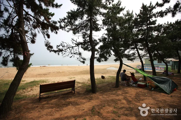 익금해수욕장 바다